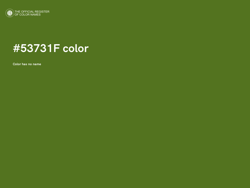 #53731F color image