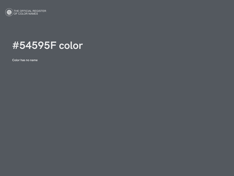 #54595F color image