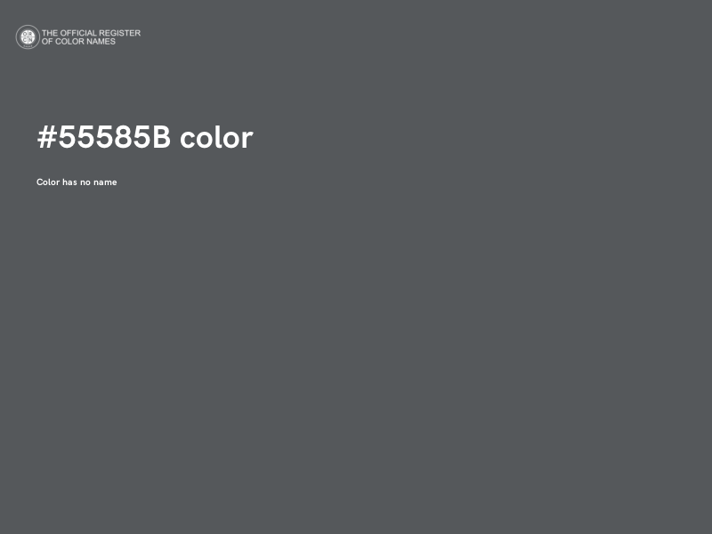 #55585B color image