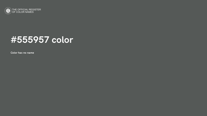 #555957 color image