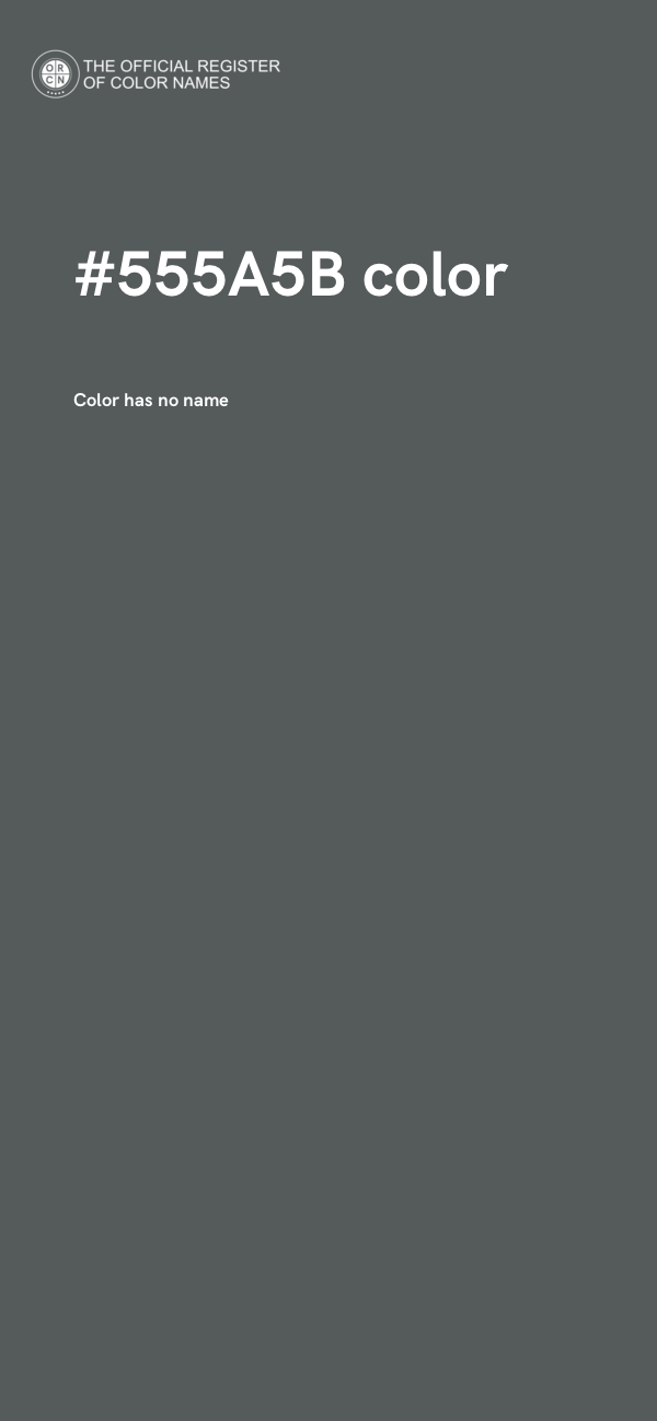 #555A5B color image