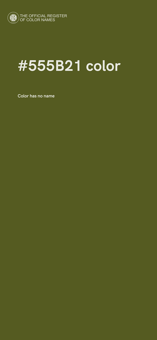 #555B21 color image