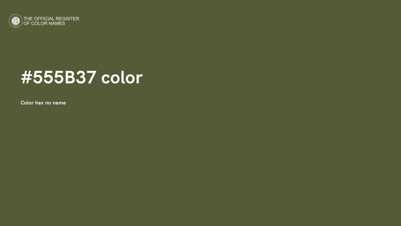 #555B37 color image