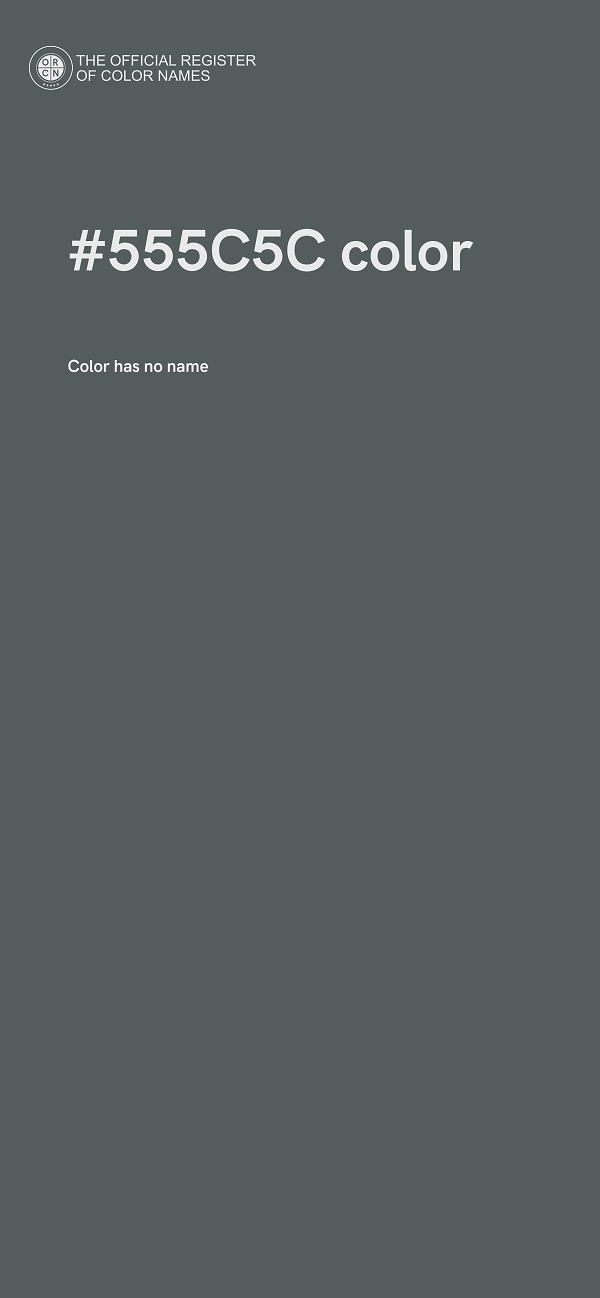 #555C5C color image