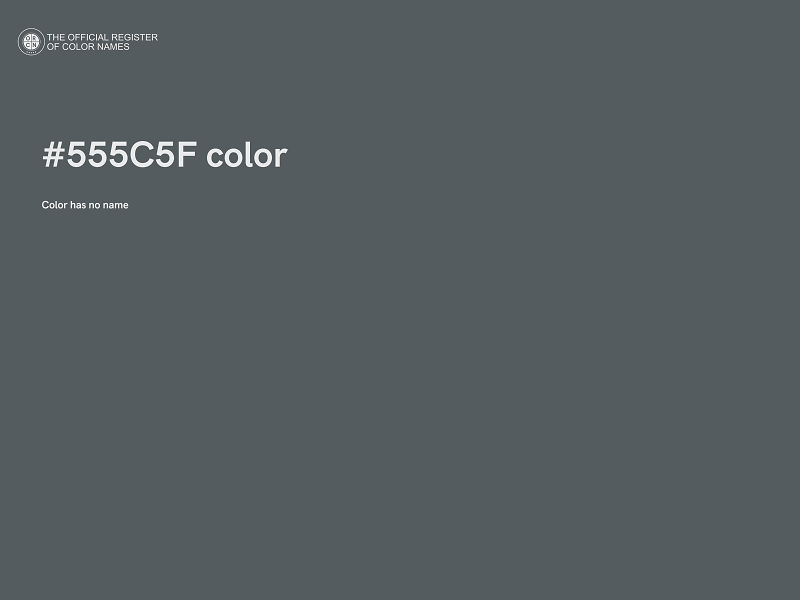 #555C5F color image