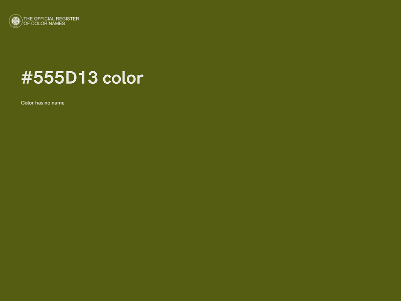 #555D13 color image