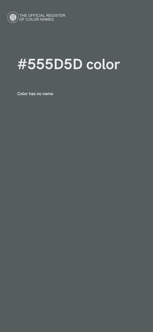 #555D5D color image