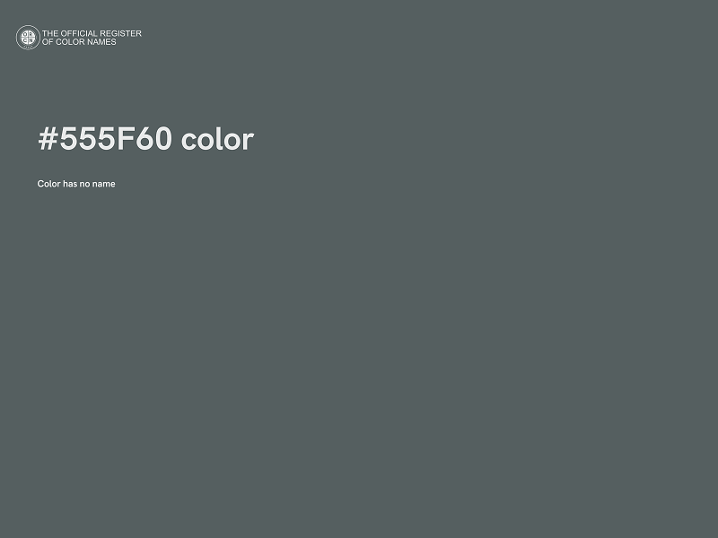 #555F60 color image