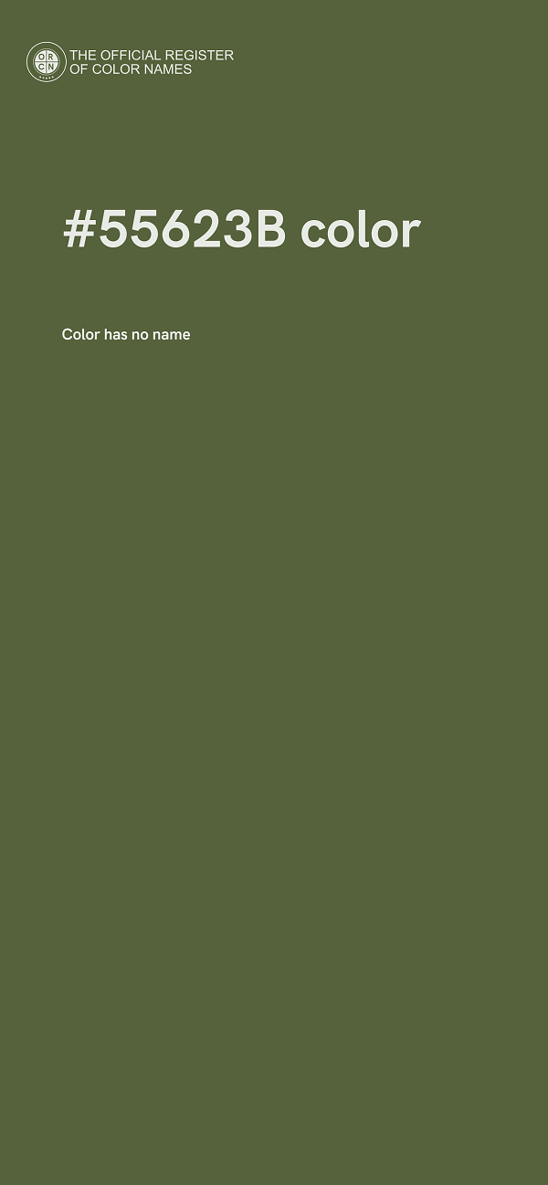 #55623B color image