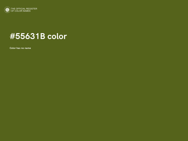 #55631B color image