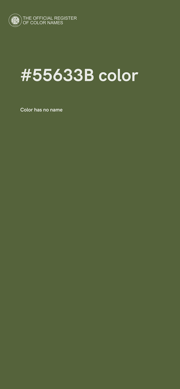 #55633B color image