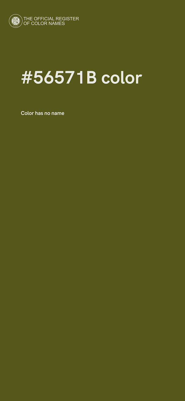 #56571B color image