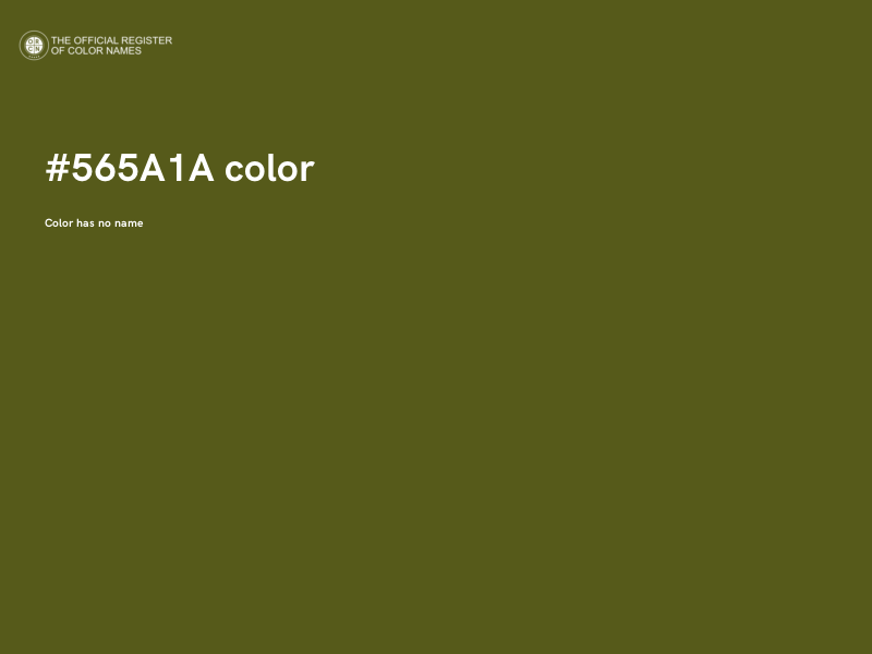 #565A1A color image
