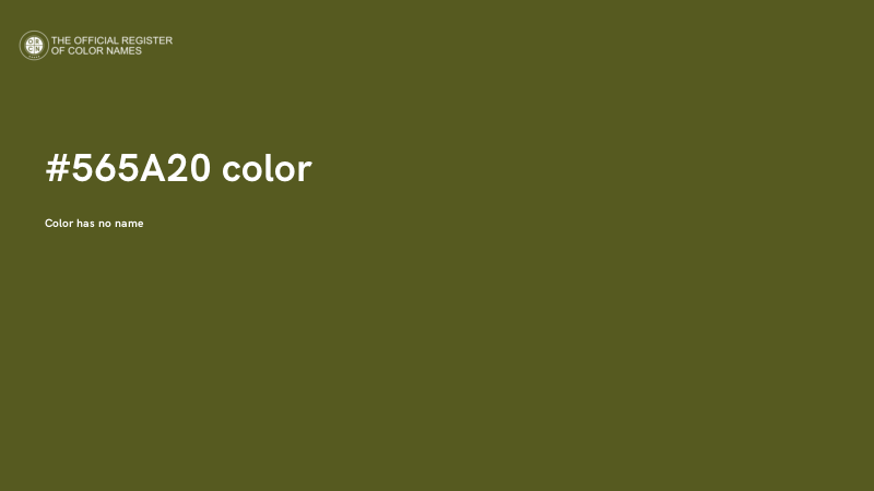 #565A20 color image