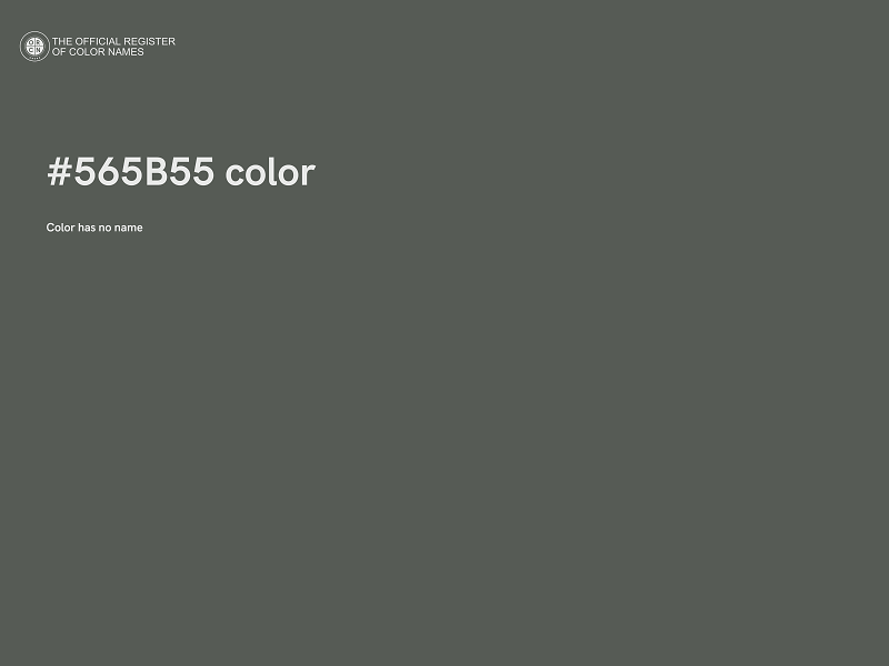 #565B55 color image