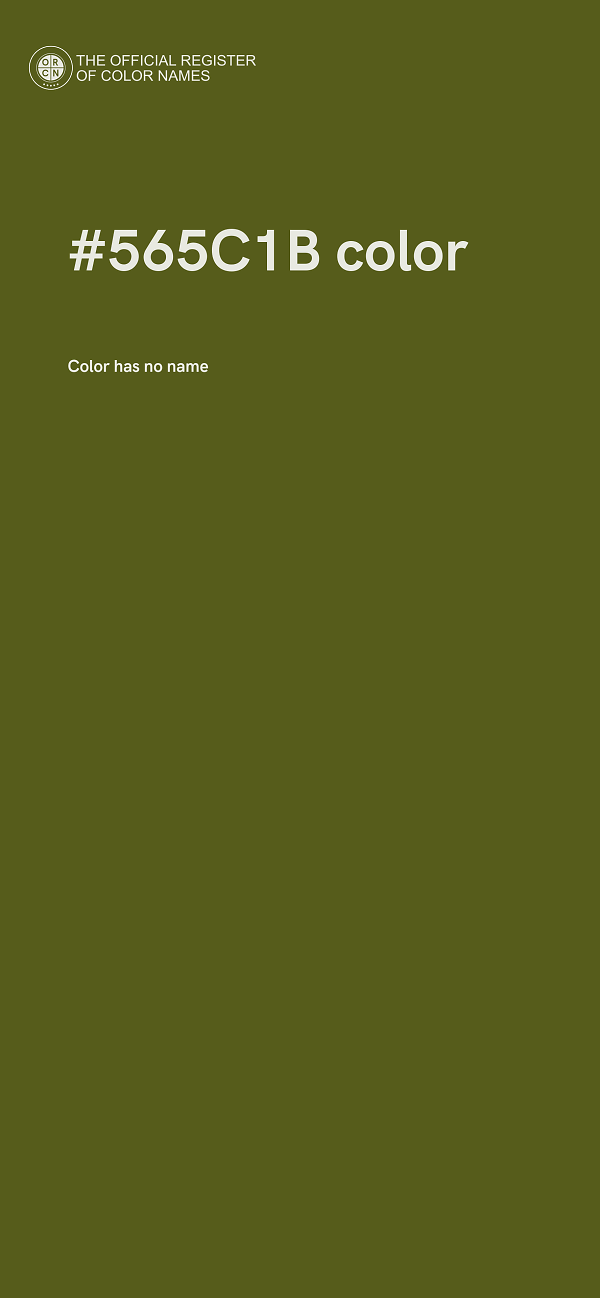 #565C1B color image