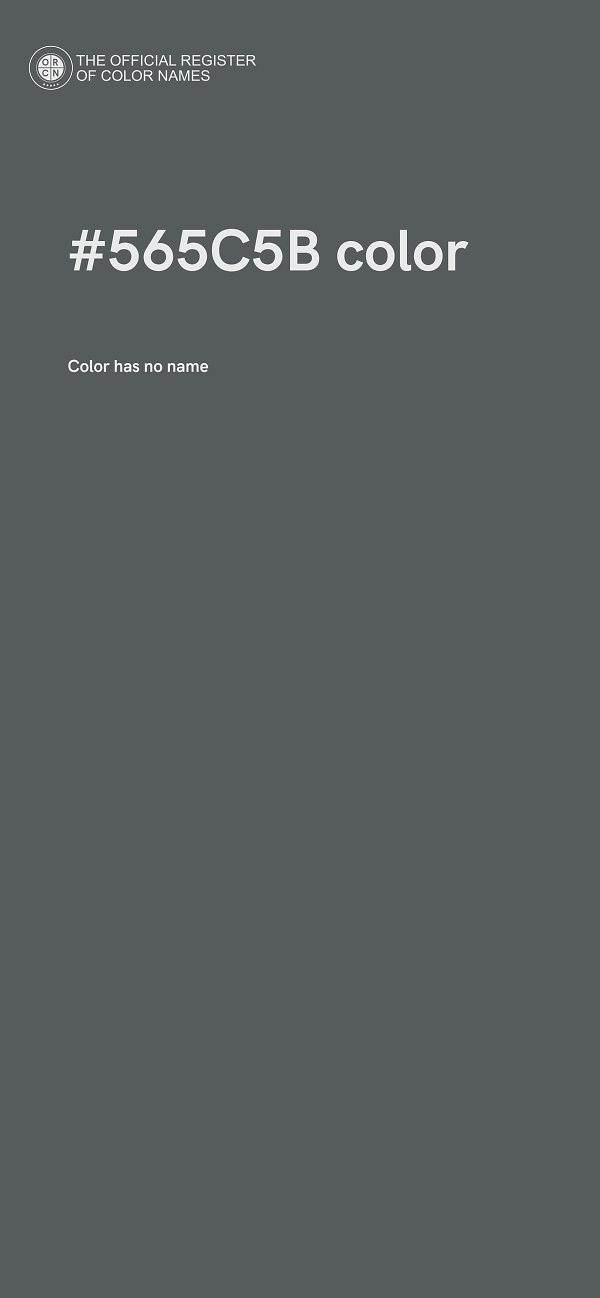 #565C5B color image