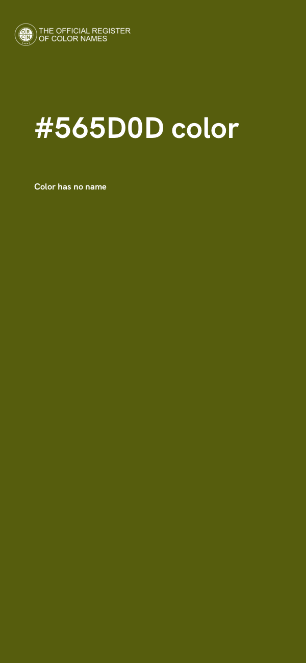 #565D0D color image