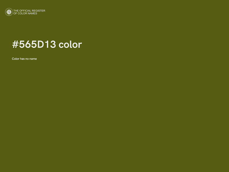 #565D13 color image