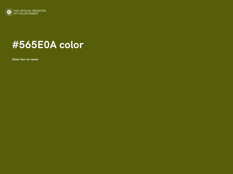 #565E0A color image