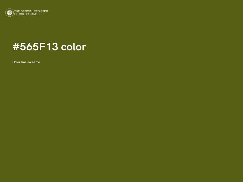 #565F13 color image