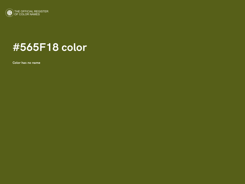 #565F18 color image