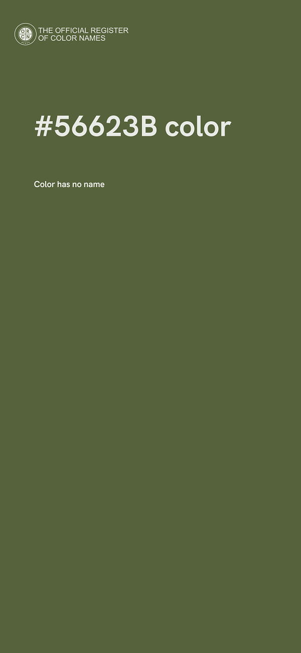 #56623B color image
