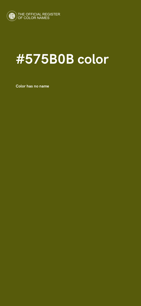 #575B0B color image