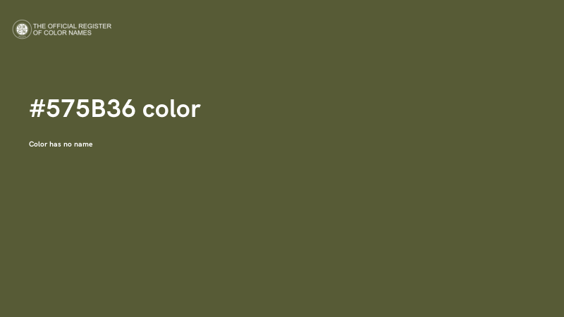 #575B36 color image