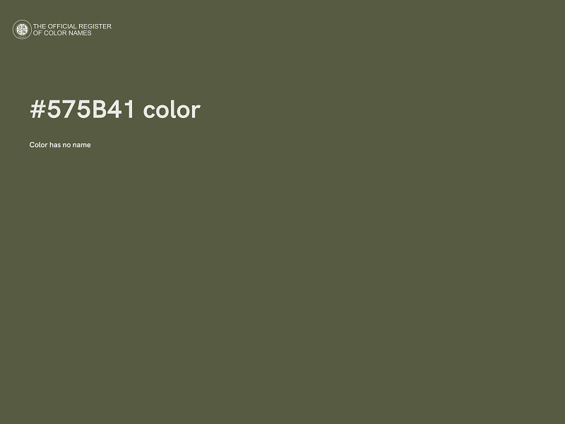 #575B41 color image