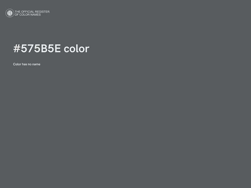 #575B5E color image