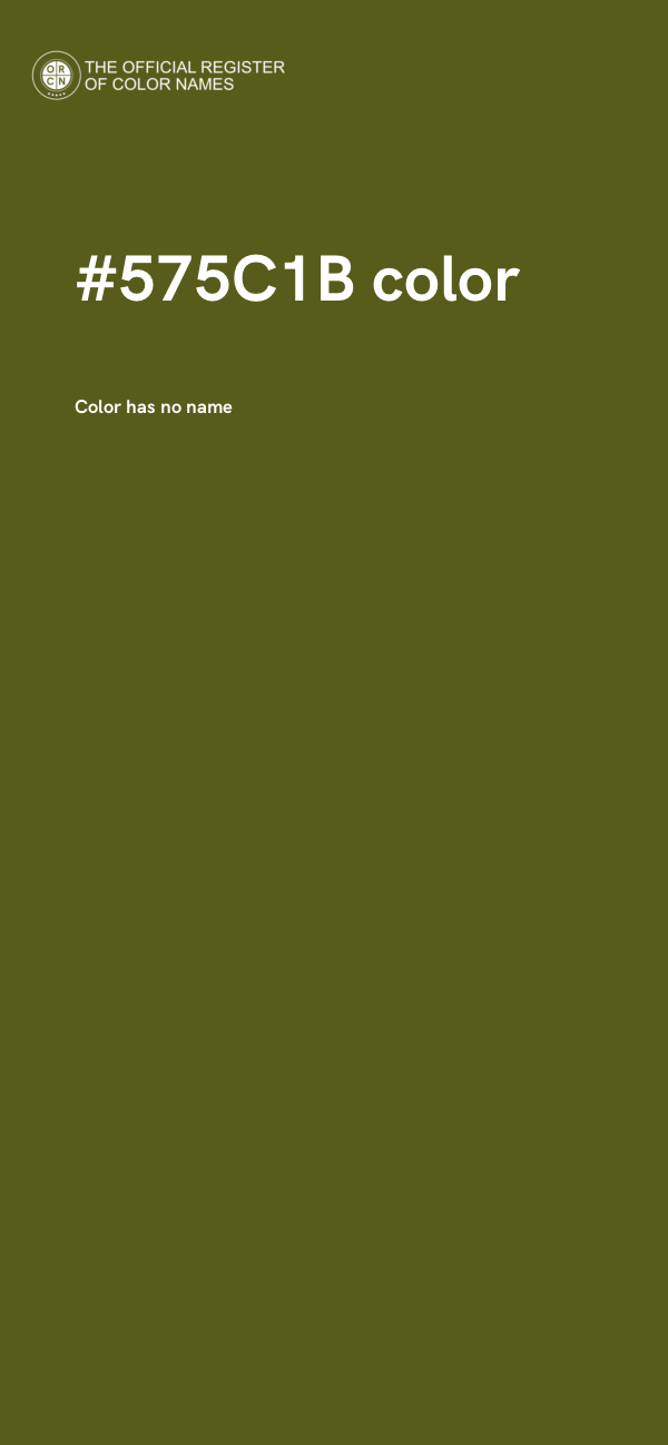 #575C1B color image