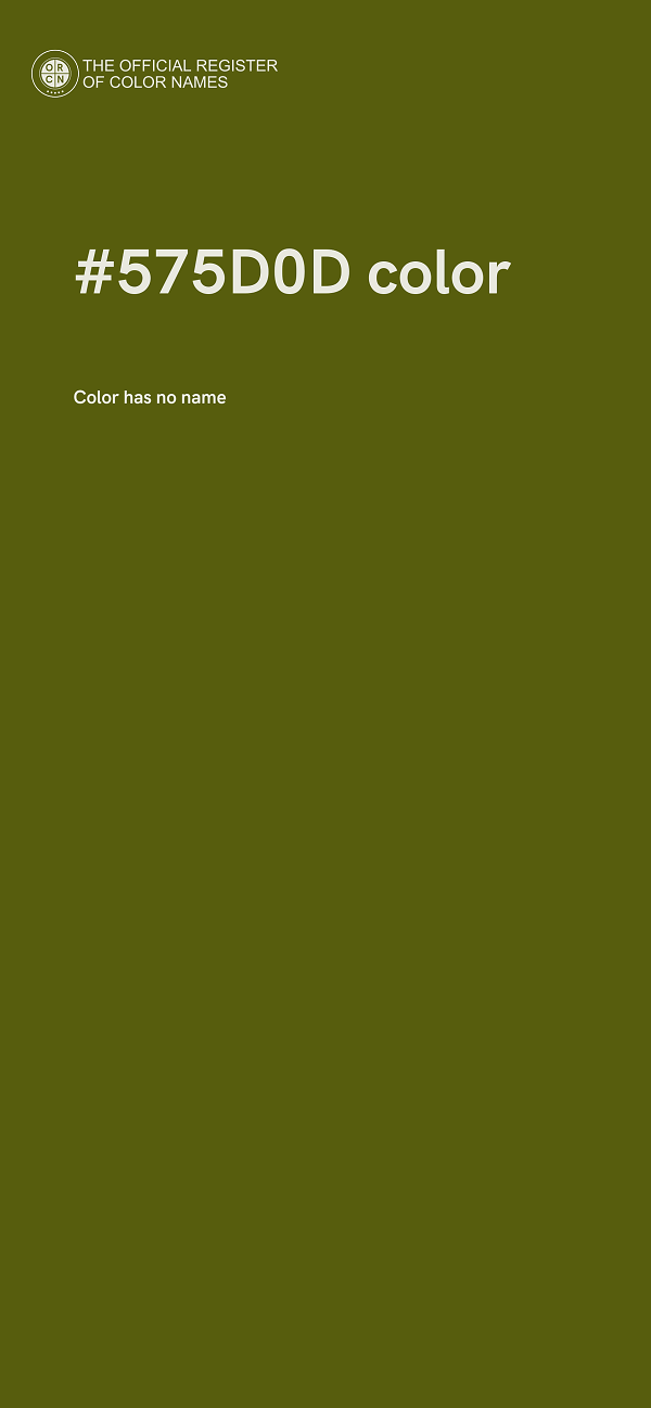 #575D0D color image