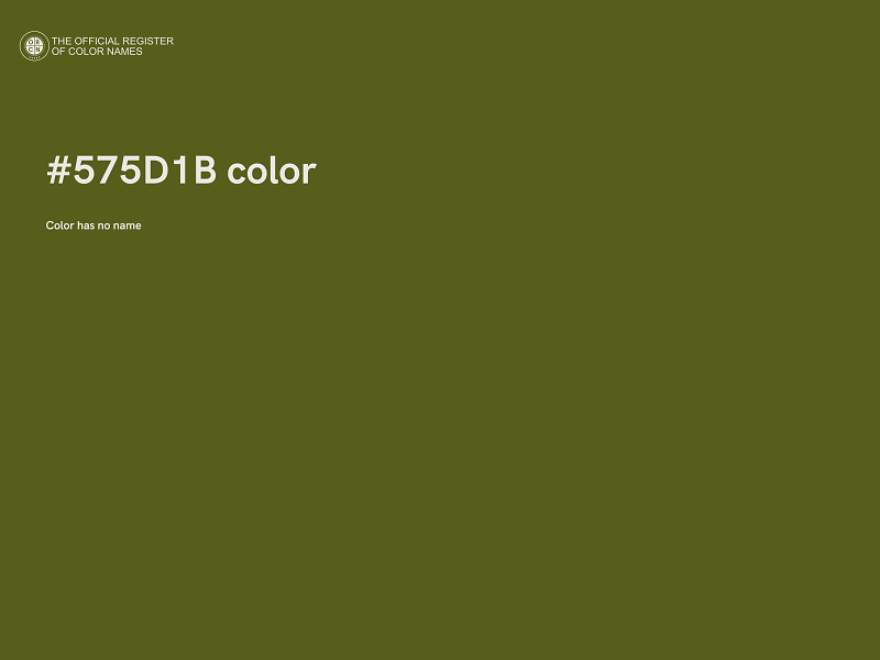 #575D1B color image