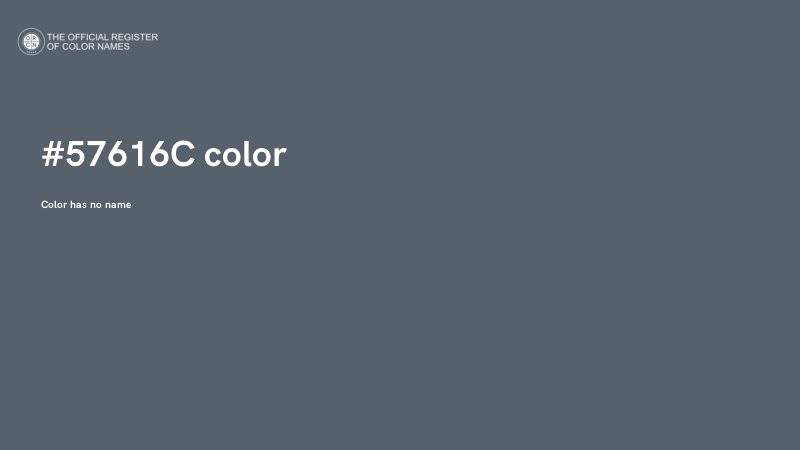 #57616C color image