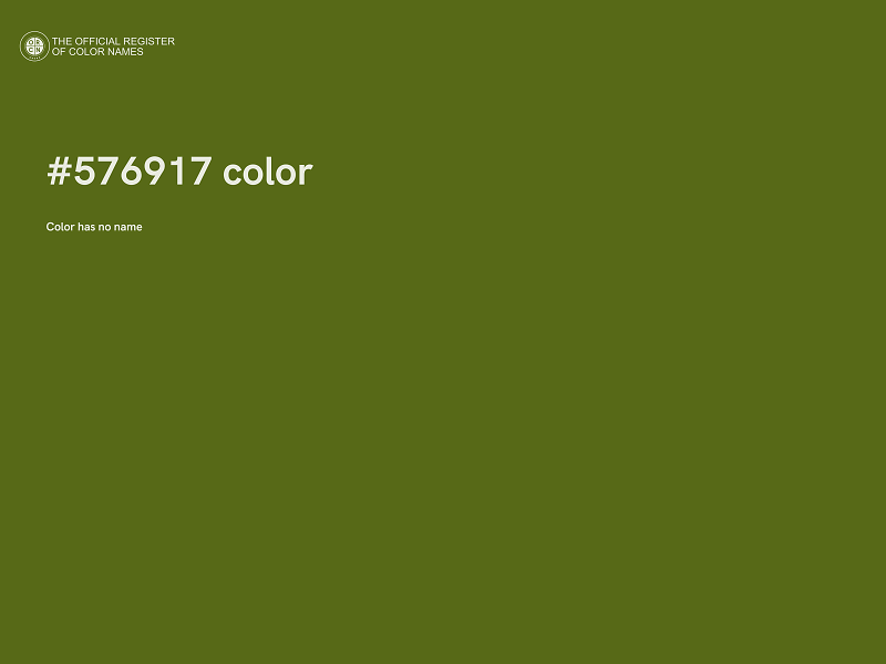 #576917 color image
