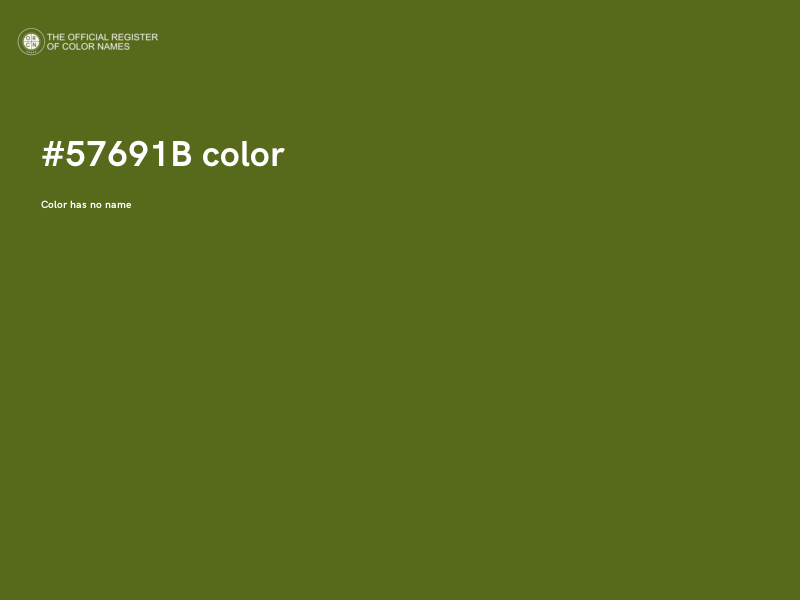 #57691B color image