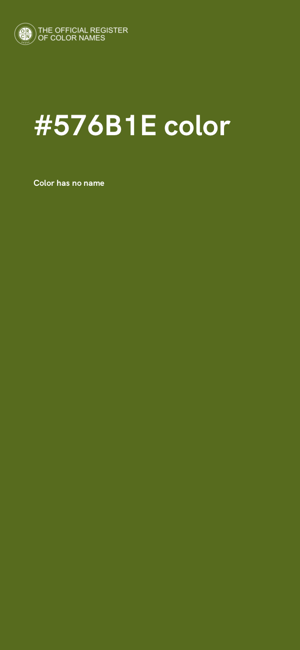 #576B1E color image