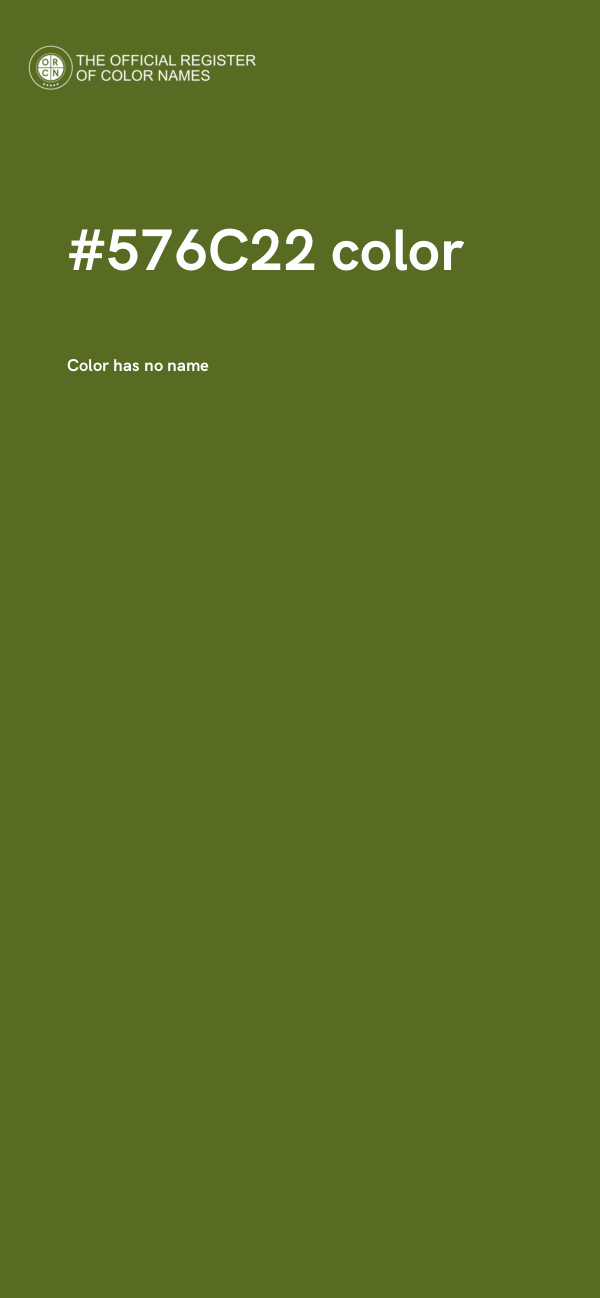 #576C22 color image