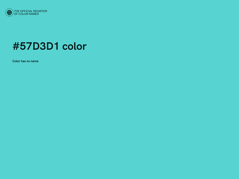 #57D3D1 color image