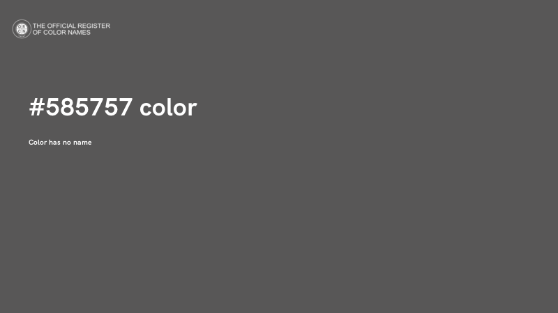 #585757 color image