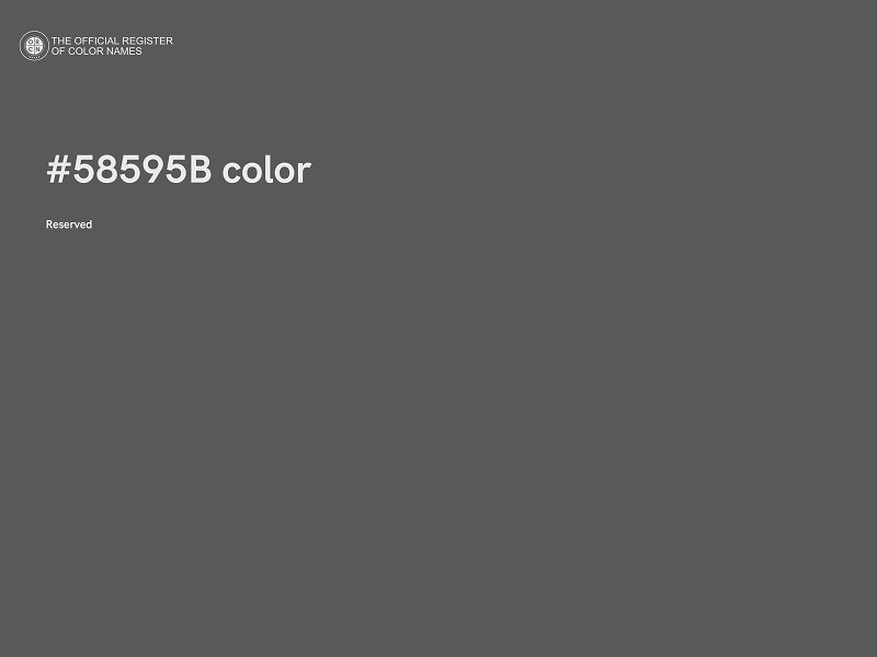 #58595B color image