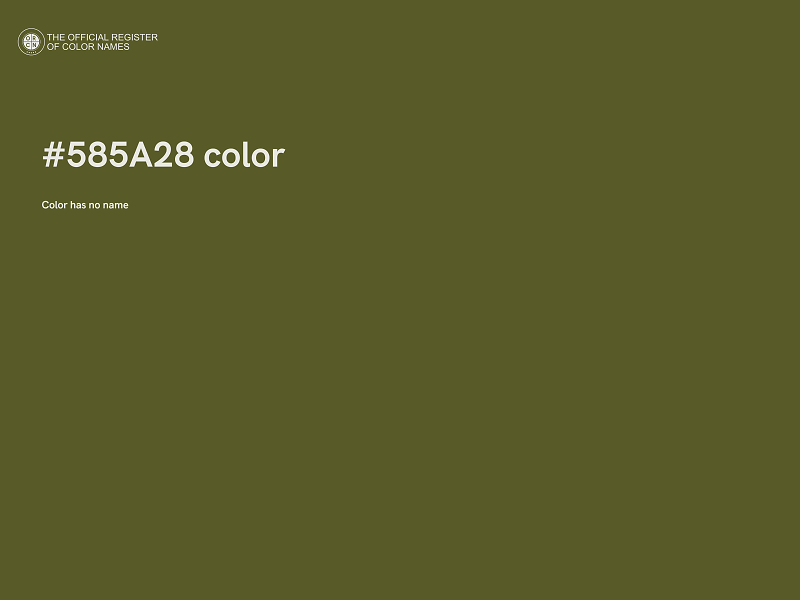 #585A28 color image