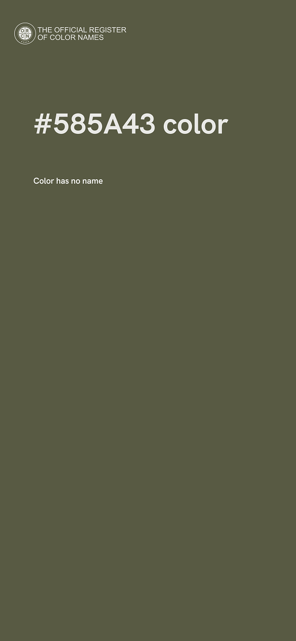 #585A43 color image