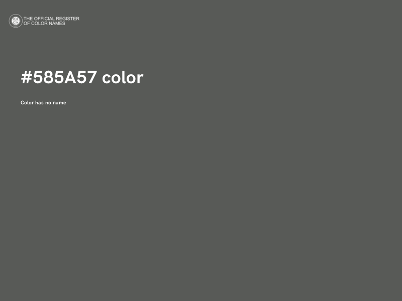 #585A57 color image