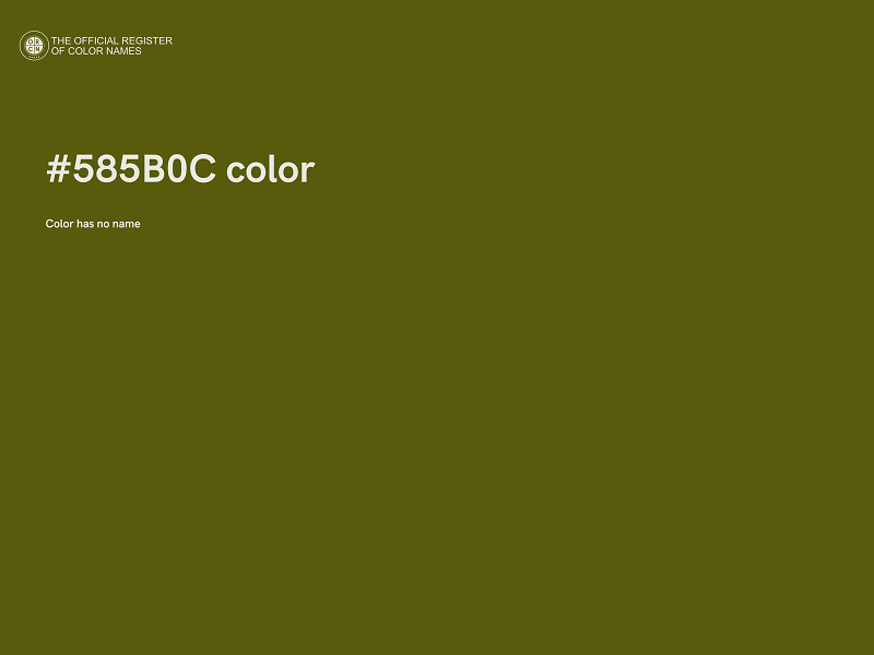 #585B0C color image