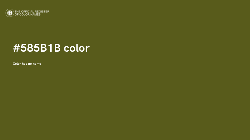 #585B1B color image