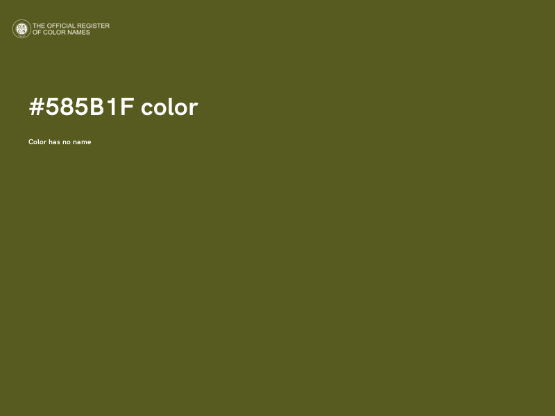 #585B1F color image