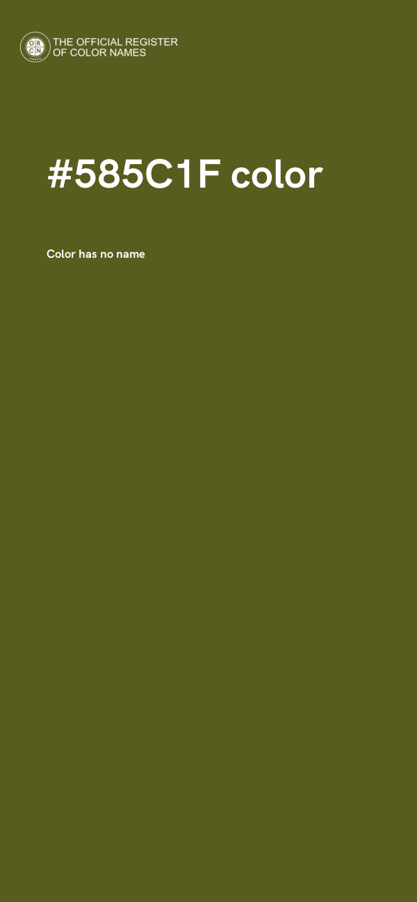 #585C1F color image
