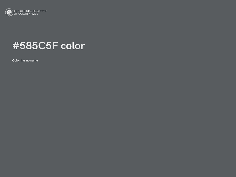 #585C5F color image